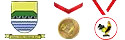 melinda hospital medals